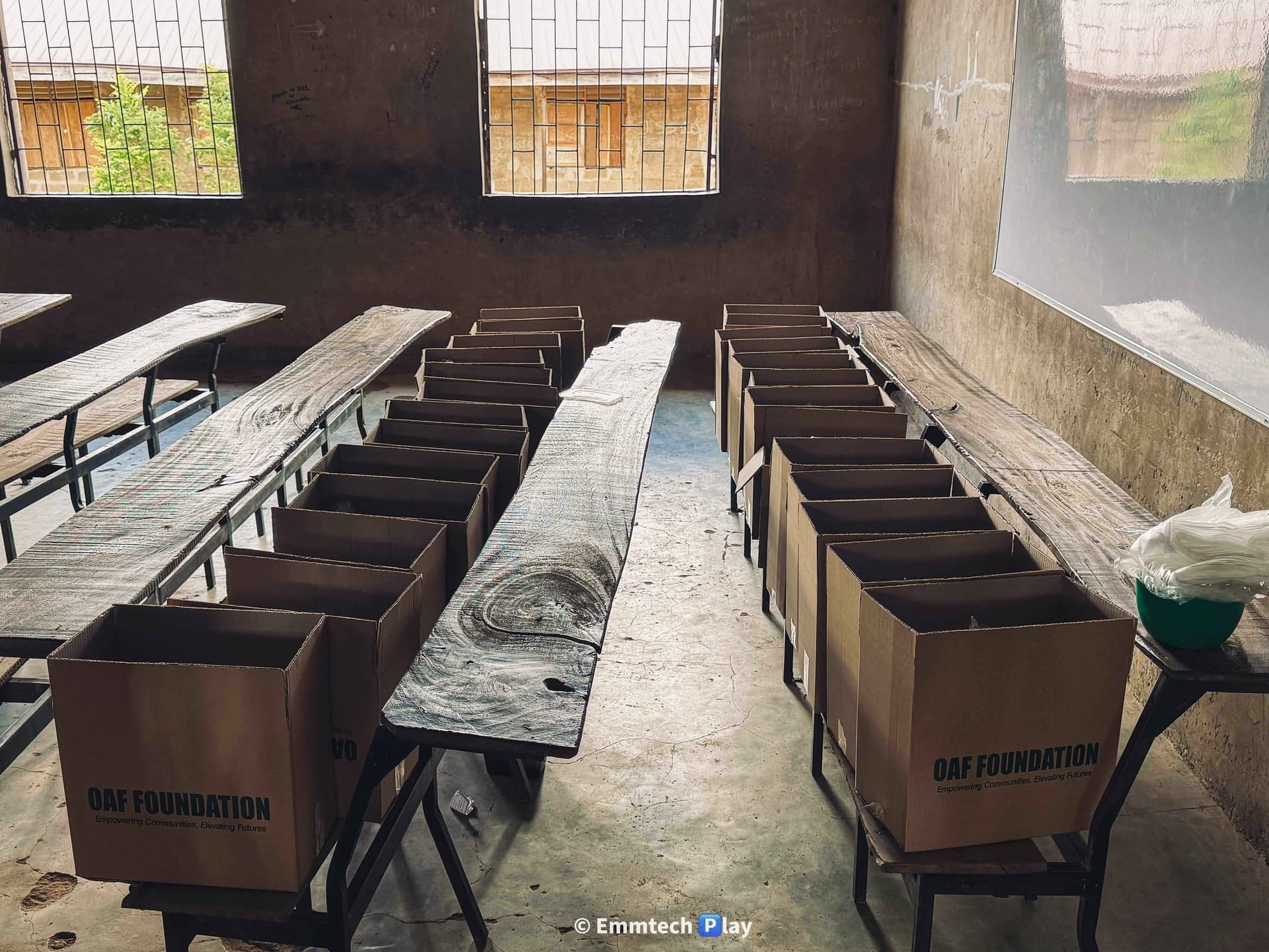 Feeding the Widows - Image 12